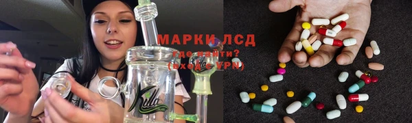 гашик Алзамай