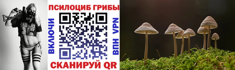 Купить где Снежинск Псилоцибиновые грибы прущие грибы